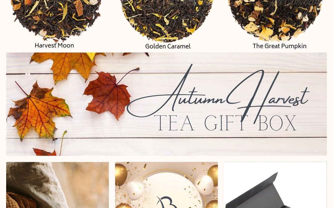 Golden Glow ~ November Reflections and Treasurers