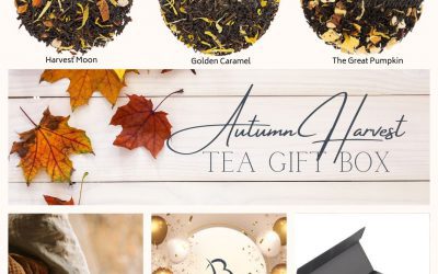 Golden Glow ~ November Reflections and Treasurers